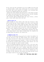 [마케팅 스카이락 마케팅분석-8