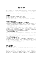 [마케팅 스카이락 마케팅분석-9