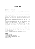 [마케팅 스카이락 마케팅분석-12