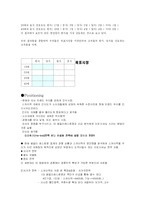 [마케팅 스카이락 마케팅분석-15