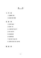 SCM(공급사슬관리)에 대해서-1