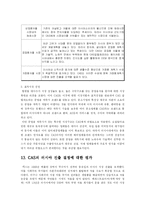 [국제마케팅] 카스(CAS)의 러시아 진출 사례-13