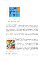 [경영정보관리] 스타벅스의 전략 정보 시스템-6
