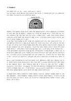 [생물학] [생물학 실험] 식물의 구조-6