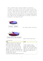 [마케팅] 환타의 광고 전략, 판매촉진 전략-5