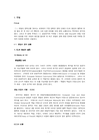 [국제마케팅론] 유럽과 중국의 경제 환경과 삼성 Anycall(애니콜)의 마케팅 전략-7