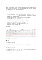 [국제마케팅론] 유럽과 중국의 경제 환경과 삼성 Anycall(애니콜)의 마케팅 전략-9