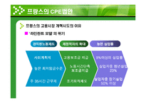 [고용관계] 프랑스 CPE 노동투쟁이 우리에게 주는 시사점-3