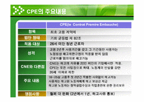 [고용관계] 프랑스 CPE 노동투쟁이 우리에게 주는 시사점-4