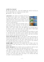 [광고홍보] 대전시티즌 PR 사례분석-11
