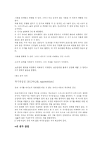 [교육학개론] 피아제의 인지발달이론-6