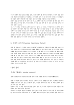 [교육학개론] 피아제의 인지발달이론-7