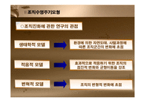[조직혁신, 거시조직이론, 조직수명주기모형,조직성장경로모형] 조직혁신-4