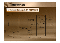 [조직혁신, 거시조직이론, 조직수명주기모형,조직성장경로모형] 조직혁신-8