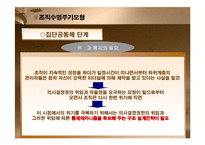 [조직혁신, 거시조직이론, 조직수명주기모형,조직성장경로모형] 조직혁신-11