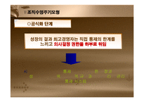 [조직혁신, 거시조직이론, 조직수명주기모형,조직성장경로모형] 조직혁신-12