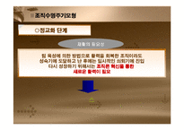 [조직혁신, 거시조직이론, 조직수명주기모형,조직성장경로모형] 조직혁신-15