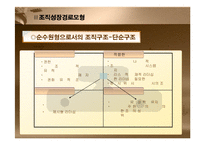 [조직혁신, 거시조직이론, 조직수명주기모형,조직성장경로모형] 조직혁신-19