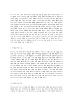 NC다이노스의 스포츠 마케팅 전략 개발을 위한 종합적 접근과 혁신적 방향 모색-5