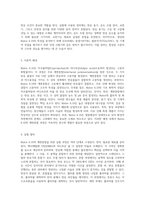 Nylon 6,10의 계면중합 과정에 대한 심층적 탐구와 실험적 접근-2