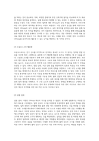 OPAmp 회로의 실험적 분석 결과와 해석-2