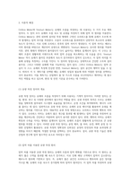 Orifice Meter와 Venturi Meter의 원리 및 적용에 대한 심층 분석-2
