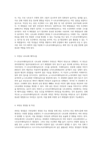 P-니트로아세타닐리드의 니트로화 과정 주반응 및 부반응의 심층 분석-2