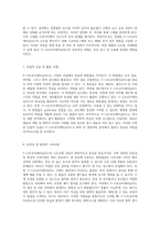 P-니트로아세타닐리드의 니트로화 과정 주반응 및 부반응의 심층 분석-4