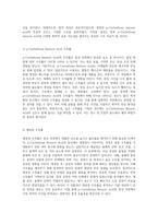 p-Carbethoxy Benzoic Acid의 합성 과정에 대한 심층 분석과 결과 평가-5