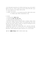 [비즈니스모델] Wizwid(위즈위드)의 Business Model 분석 및 평가-8