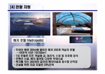 [도시관광론] 두바이 조사-12