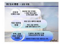 [도시관광론] 두바이 조사-15
