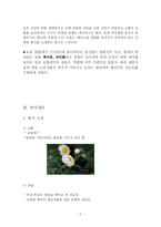 [웨딩 사업계획서, 관광] 웨딩 리조트-5