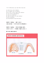 [유아 교육과정] 치아 교유계획안-4