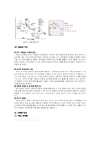 [국토] 동해 지명 표기 문제와 독도 문제-7