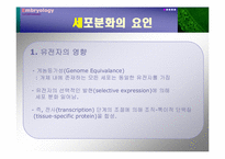 [발생학] 세포분화-8