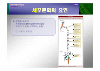 [발생학] 세포분화-9