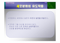 [발생학] 세포분화-14
