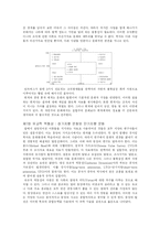 [사회과학] 세계의 문화와 조직-6