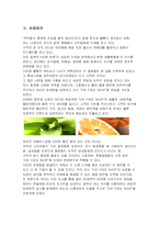 [경영학] [더페이스샵]마케팅사례조사-3
