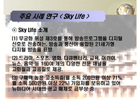 [MIS, 경영정보시스템] 위성방송, 위성 DMB업계의 경영사례 조사 -Sky Life를 중심으로-8