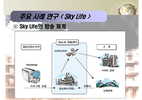 [MIS, 경영정보시스템] 위성방송, 위성 DMB업계의 경영사례 조사 -Sky Life를 중심으로-10