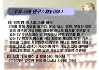 [MIS, 경영정보시스템] 위성방송, 위성 DMB업계의 경영사례 조사 -Sky Life를 중심으로-13