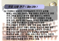 [MIS, 경영정보시스템] 위성방송, 위성 DMB업계의 경영사례 조사 -Sky Life를 중심으로-15