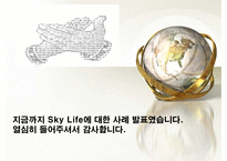 [MIS, 경영정보시스템] 위성방송, 위성 DMB업계의 경영사례 조사 -Sky Life를 중심으로-20