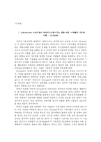 [소비자행동] 소비자 행동과 관련된 Subculture의 분석과 이를 이용한 다양한 마케팅전략-4