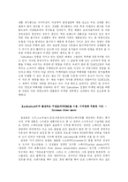 [소비자행동] 소비자 행동과 관련된 Subculture의 분석과 이를 이용한 다양한 마케팅전략-7