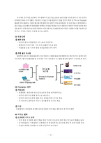 [인터넷비즈니스, 전자상거래 사업계획서] RFID 기술을 활용한 애완동물 관리-10