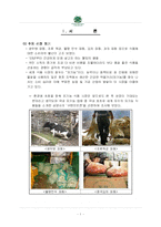[식품유통] 유기농식품 삼양사의 ‘구텐모르겐’ 분석-2
