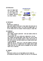 [경영학] 파스칼과 피터스의 7-S 모형 -FedEx와 DHL의 7S비교-12
